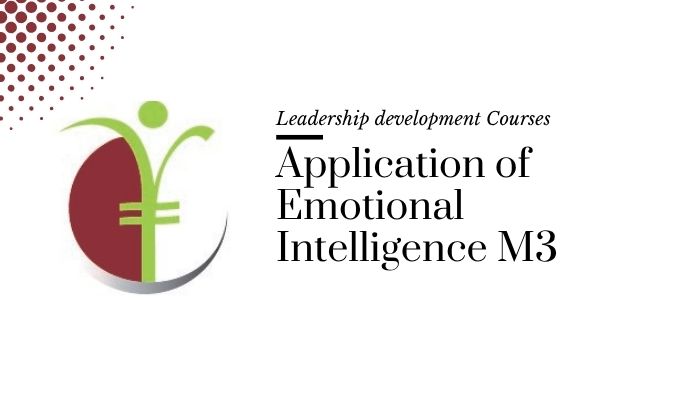 Leadership development course: Application of Emotional Intelligence M3. SHEQ INTEGRATED TRAINING logo.